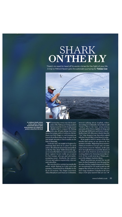 The Field Magazine UK