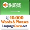Vocabulary Trainer for Learning Arabic: Learn to Speak Arabic for Travel, Business, Dating, Study & School