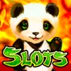 SLOT Mystic Panda Casino Vegas