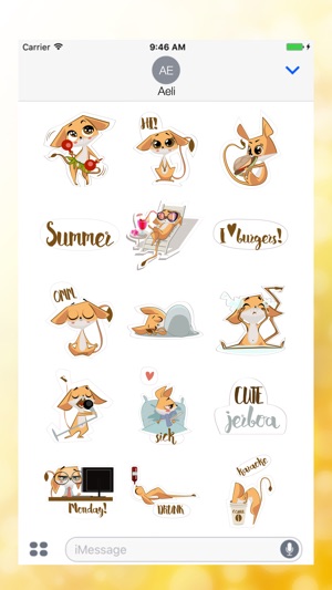 Pets Love  Summer Stickers(圖1)-速報App