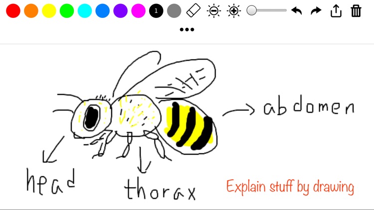 Super Simple Draw screenshot-5