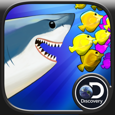 Activities of Discovery: Shark Strike