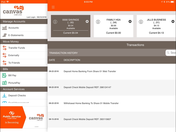 Canvas Credit Union for iPad screenshot-3