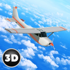 Activities of Turboprop Plane Simulator 3D