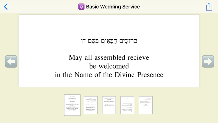 Rabbi's Manual