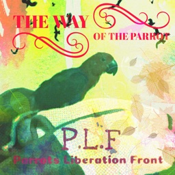 The Way Of the Parrot