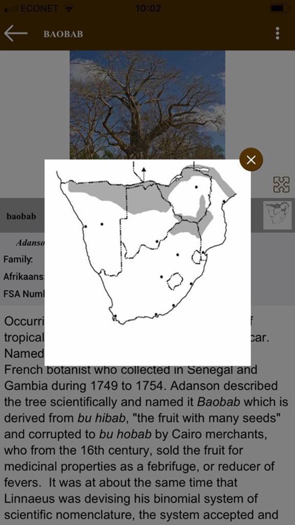 Key to Trees of South Africa screenshot-6