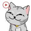 Little Cat Animated Stickers