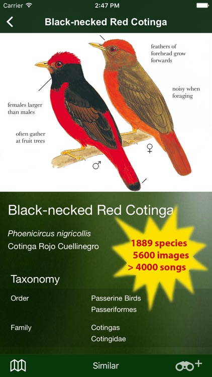 All Birds Colombia field guide