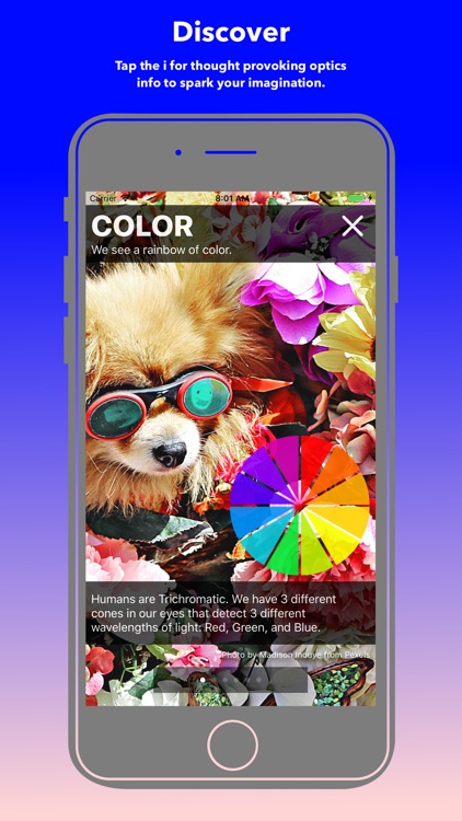 Dog Optics screenshot-3