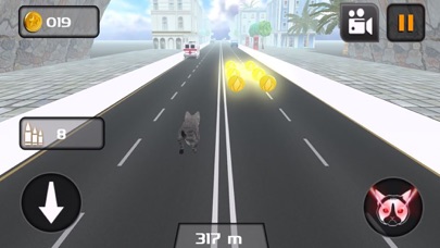 KITTY CAT RUSH 3D GAME 1.1 IOS