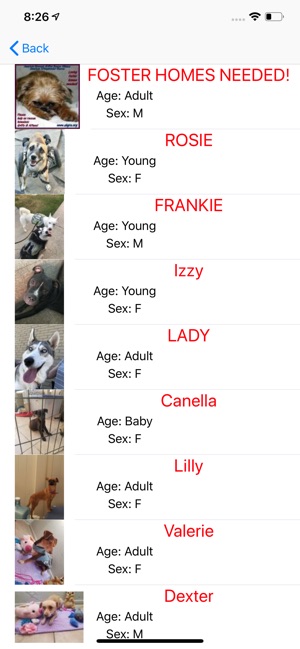 Doggo Finder(圖2)-速報App