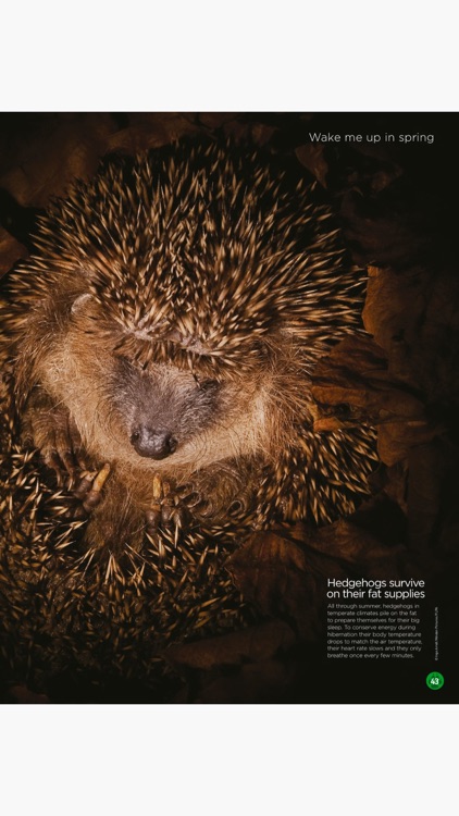 World of Animals Magazine screenshot-4