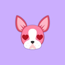 Valentine's Day Boston Terrier