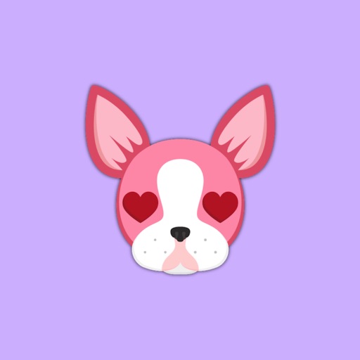 Valentine's Day Boston Terrier icon