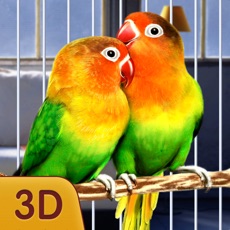 Activities of Home Pet Parrot Simulator