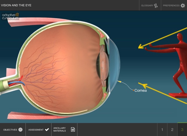 Vision and the Eye(圖4)-速報App