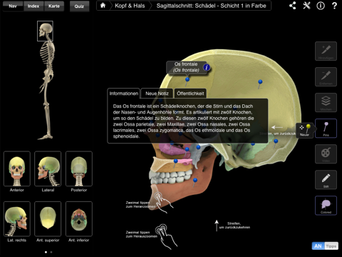 Skeleton System Pro III screenshot 4
