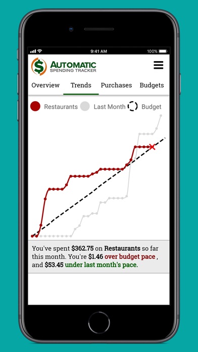 Automatic Spending Tracker screenshot 3