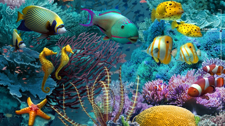 Amazing World OCEAN 3D screenshot-0