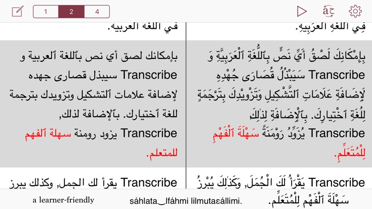 Libera TranScribe