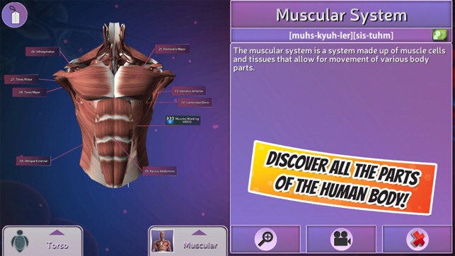 Popar Human Anatomy(圖5)-速報App