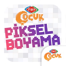 Activities of TRT Piksel Boyama