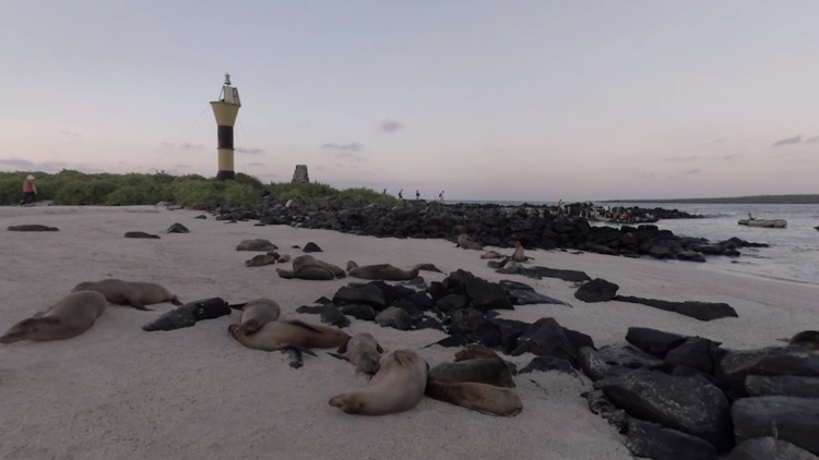 Lindblad Galapagos