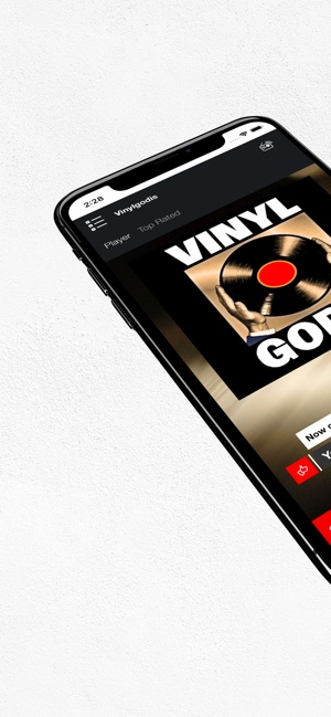 Vinylgodis Radio(圖1)-速報App