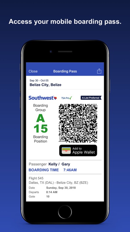 Southwest Airlines