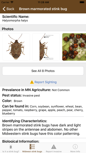 Midwest Stink Bug(圖3)-速報App