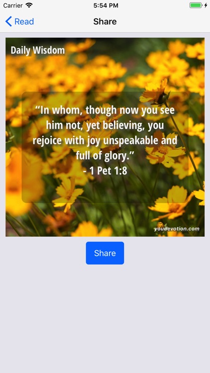 God's Daily Wisdom For You