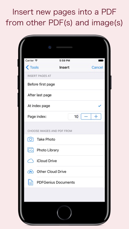 PDFGenius Lite
