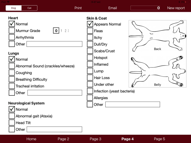 Veterinary Pet Health Report