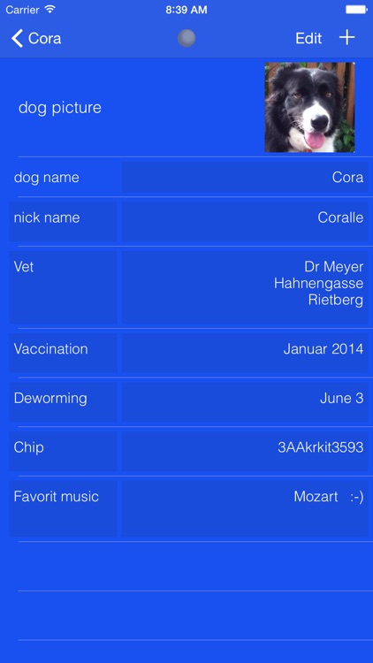 dogwalk personal screenshot-3