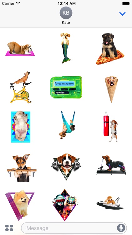 @Puppies