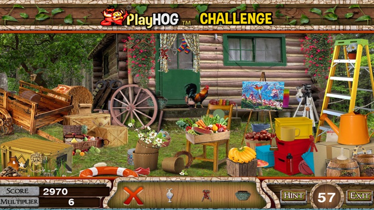 Forest House - Hidden Objects