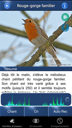 Chants d’oiseaux avec reconnaissance automatiques(圖2)-速報App