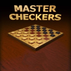 Activities of Master Of The Checkers Puzzle