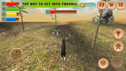 Little Horse Donkey Simulator screenshot 2
