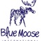 Blue Moose International