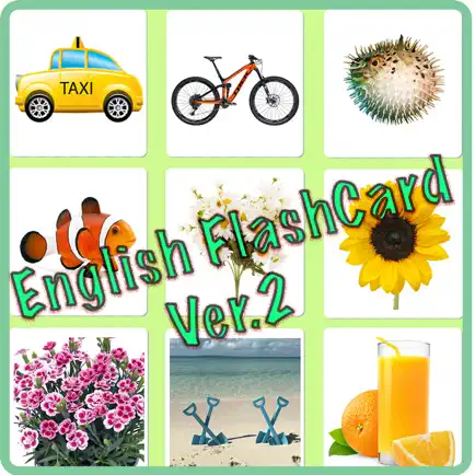 FlashCard English Cheats