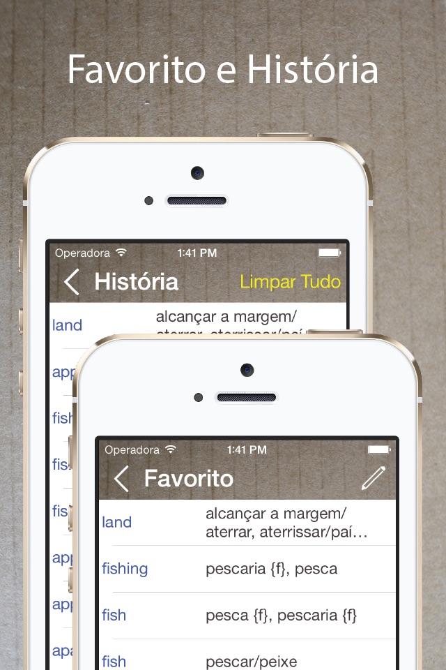 Portuguese English Dictionary. screenshot 4