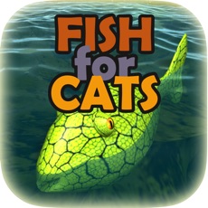 Activities of Fish for Cats: 3D fishing game for cats