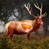 Icon Deer Target Shooting : Pro
