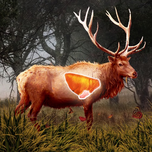 Deer Target Shooting : Pro Icon