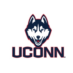 Connecticut Huskies Stickers Basic