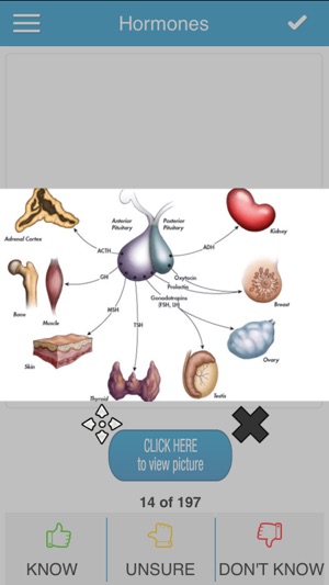 USMLE Bio/Physio Cram Cards(圖3)-速報App