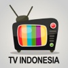 TV Online Indonesia | LIVE Streaming TV Gratis