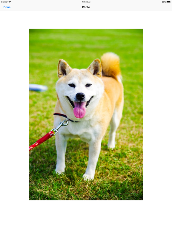 Shiba Inu Sticker Pack App Price Drops